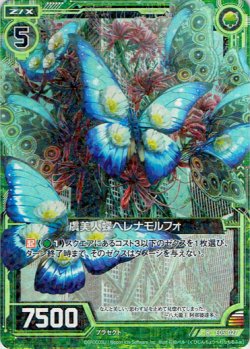 画像1: 【ホログラム】虞美人蝶ヘレナモルフォ