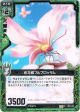 画像: 【ホログラム】桜花蝶フルブロッサム