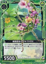 画像: 【ホログラム】擬態昆虫サツキファスマ